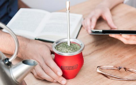 Yerba mate: que es?