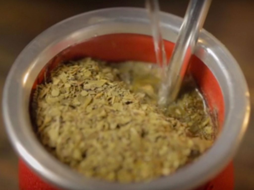 Propiedades nutricionales de la Yerba Mate