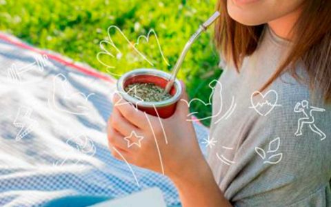 Ventajas, beneficios y propiedades de la Yerba Mate Taragui