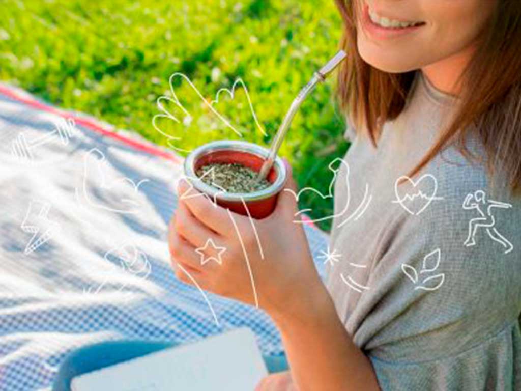 Ventajas, beneficios y propiedades de la Yerba Mate Taragui