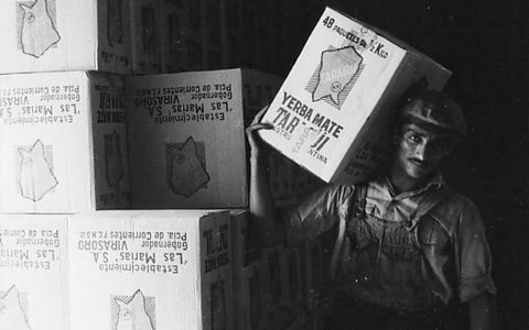 Elaboracion de la yerba mate taragui por las marias