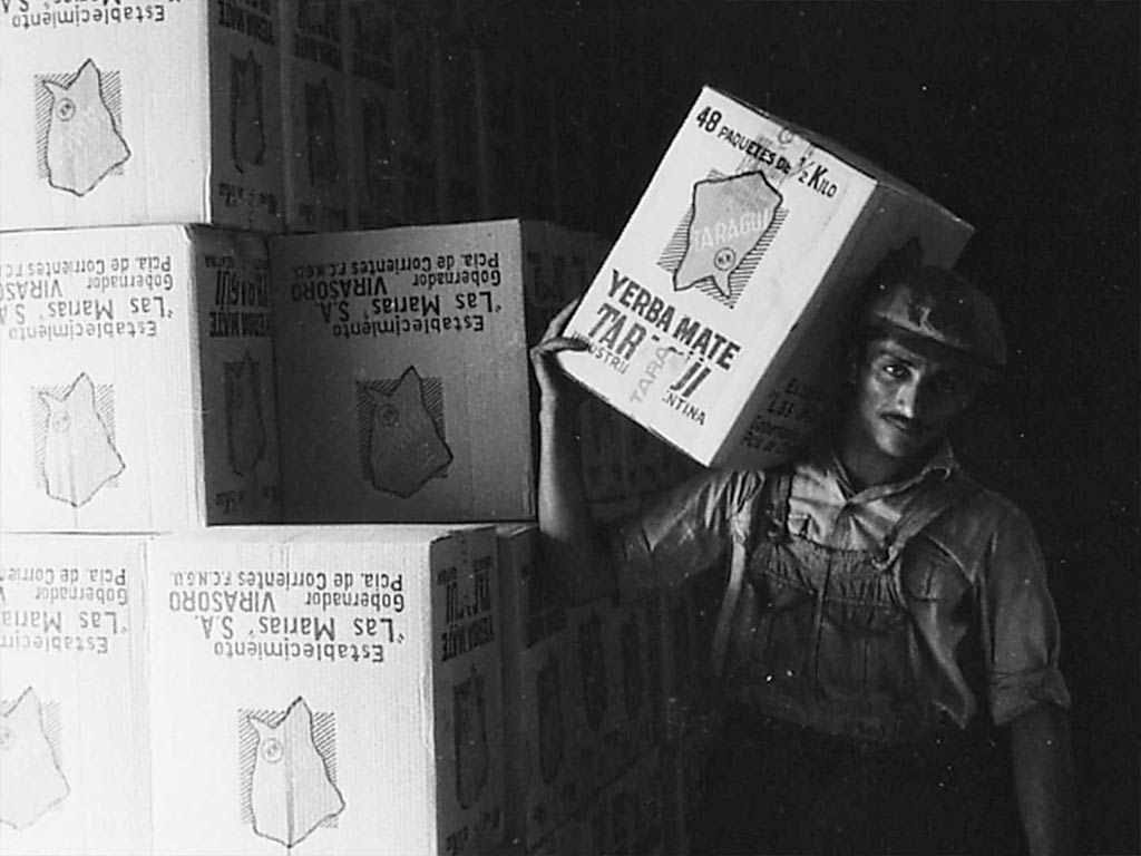 Elaboracion de la yerba mate taragui por las marias