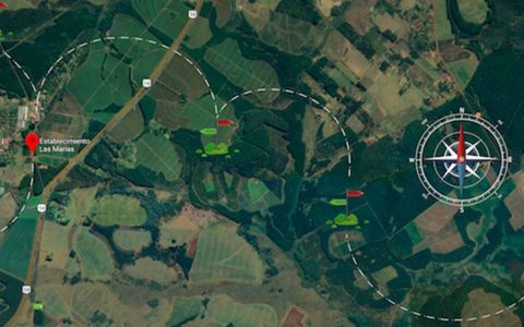 La ruta de la yerba mate