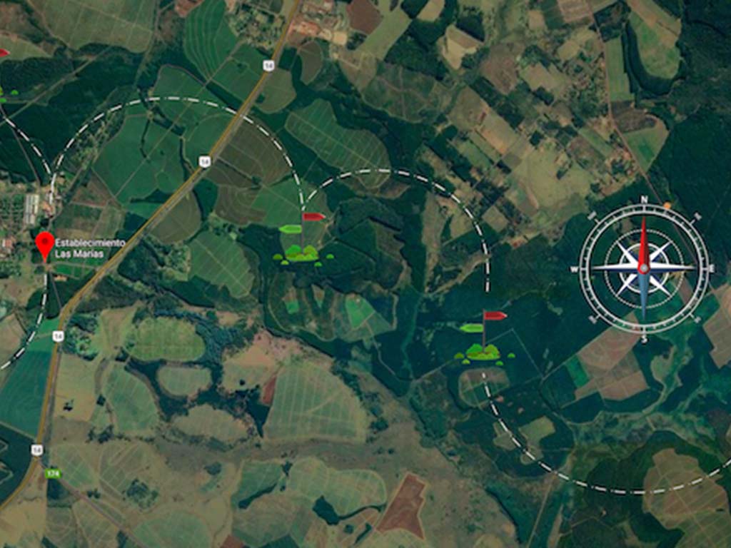 La ruta de la yerba mate