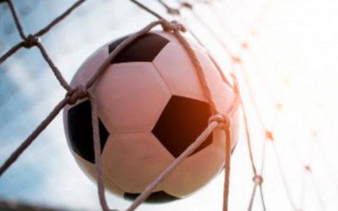 La yerba mate es una bebida que da energia