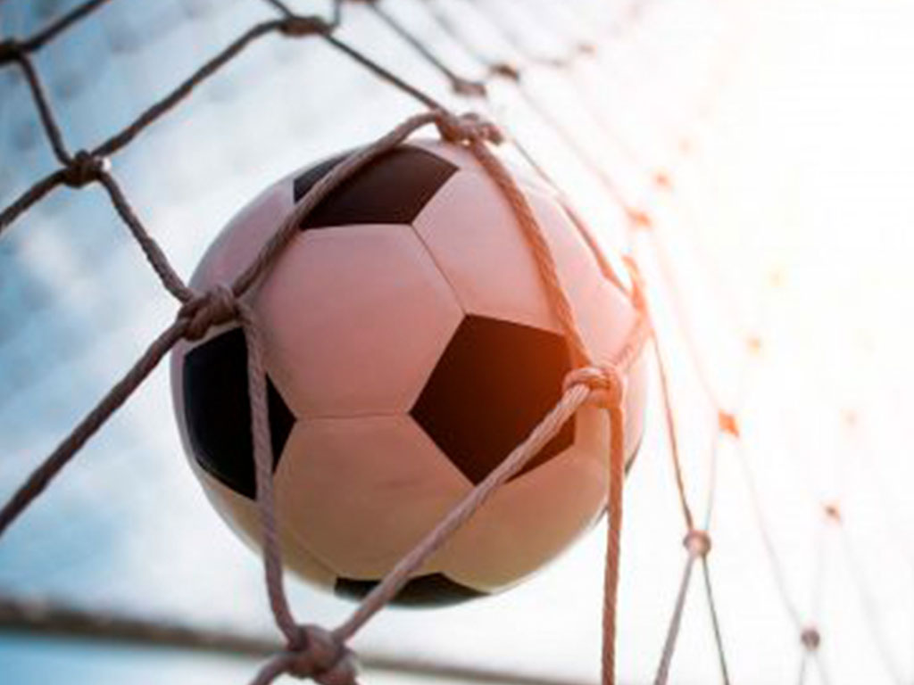 La yerba mate es una bebida que da energia